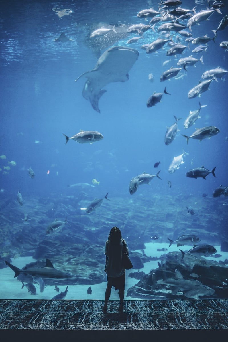 Aquarium